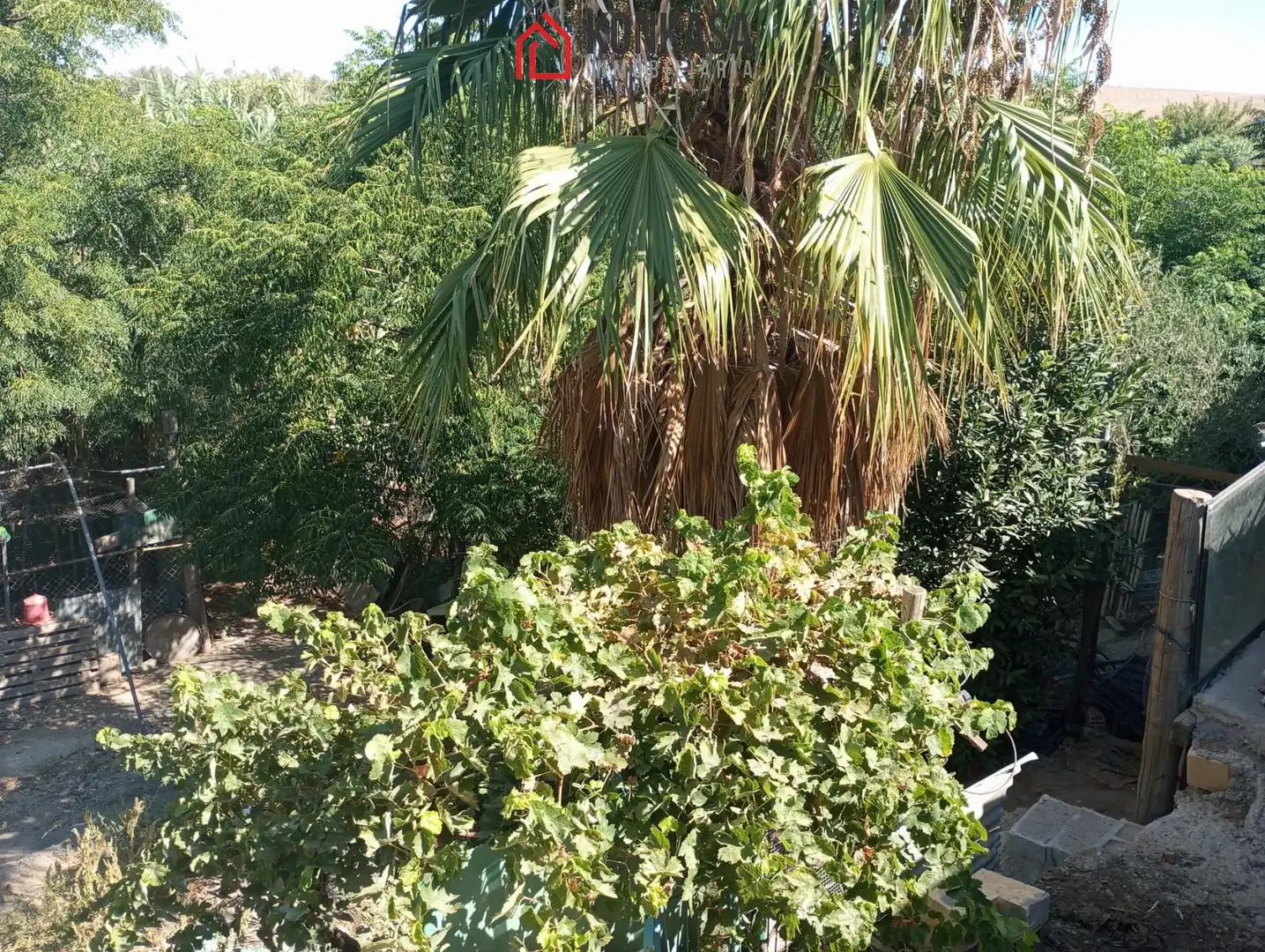 Maison avec piscine à vendre à Arcos de la Frontera, imagen 33