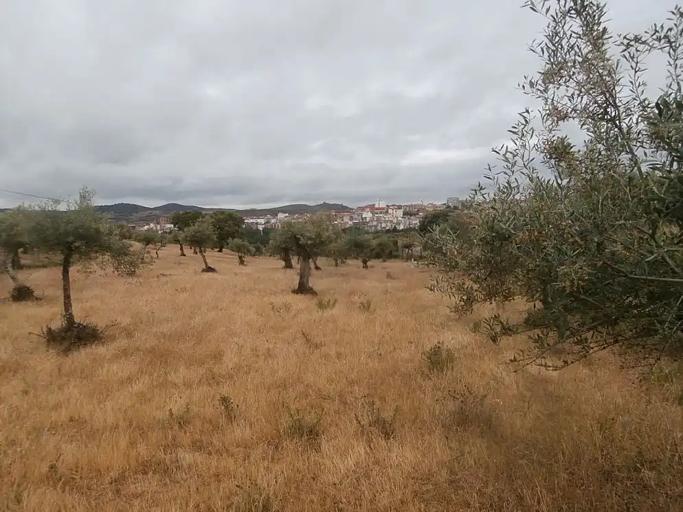 Terreni e lotti in vendita a Paraje Arroyo de Marta, imagen 10