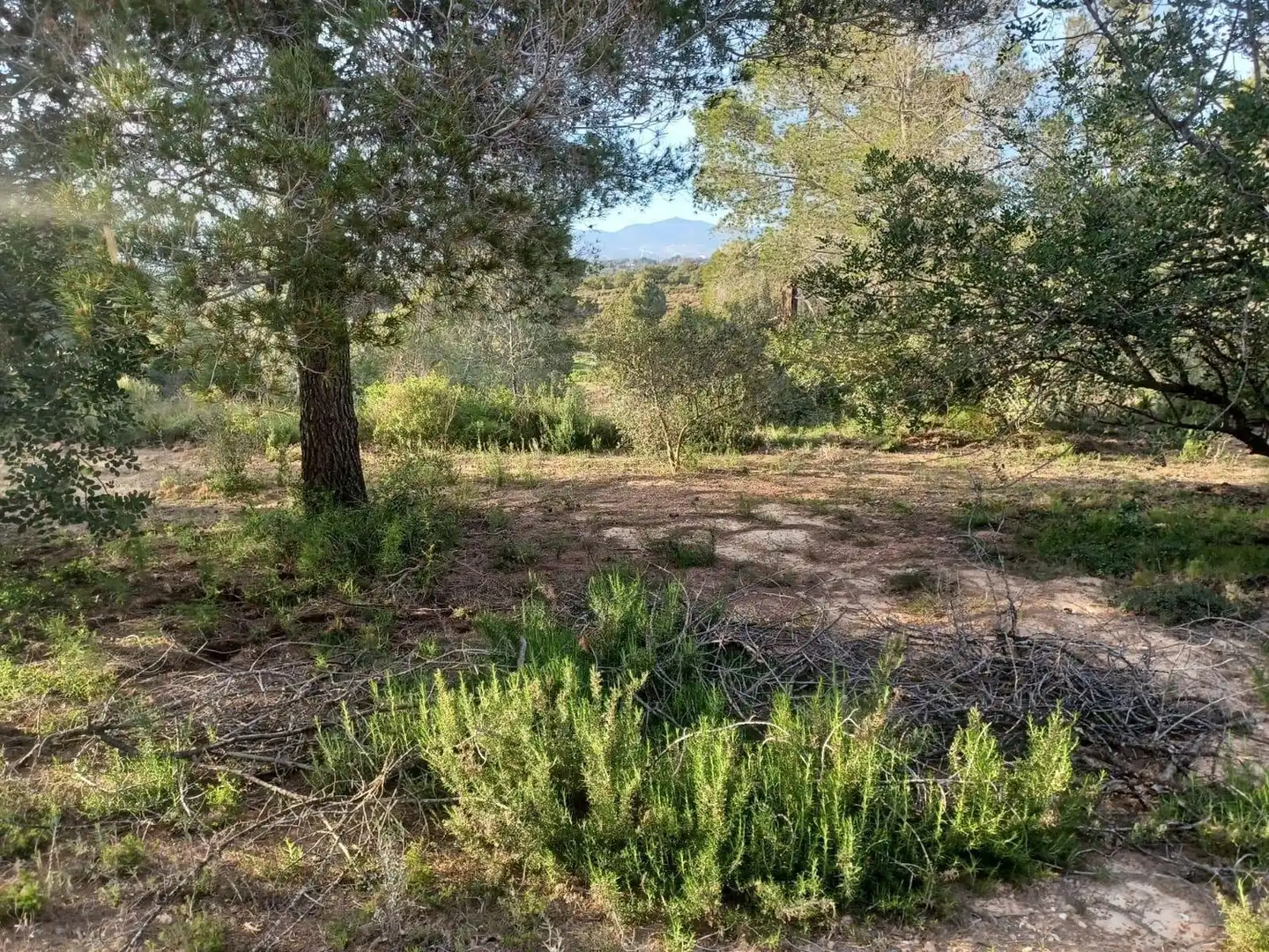 Terreno residencial en venta en dels Morts, imagen 6