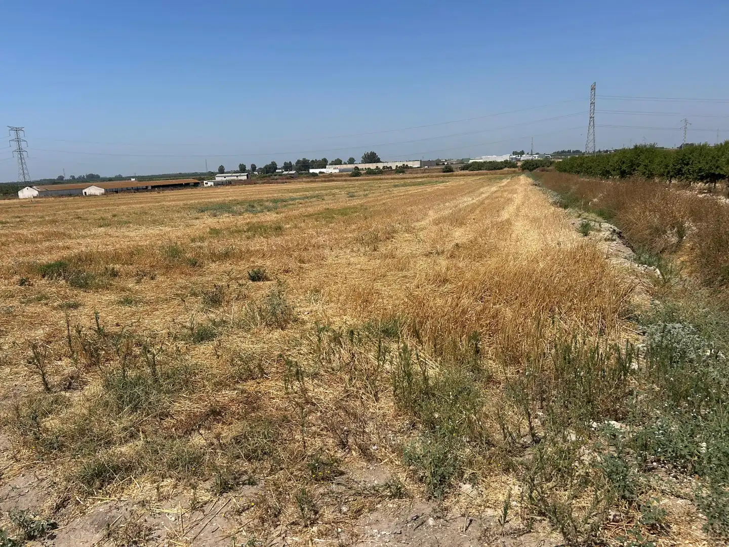 Terreno residencial en venta en POLIGONO 3 PARCELA 317 LA DEHESILLLA, imagen 3