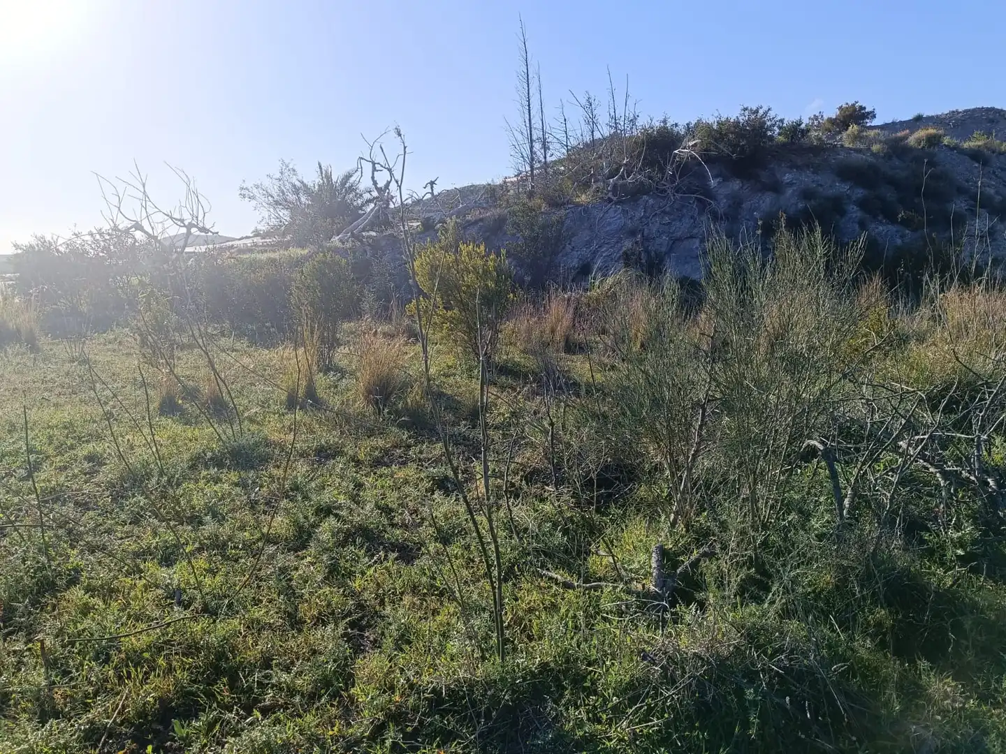 Terreno rústico en venta en Los Tablones - La Garnatilla, imagen 4