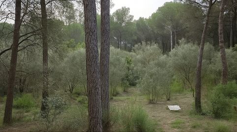 Foto 4 de Casa o xalet en venda a Corçà, Girona