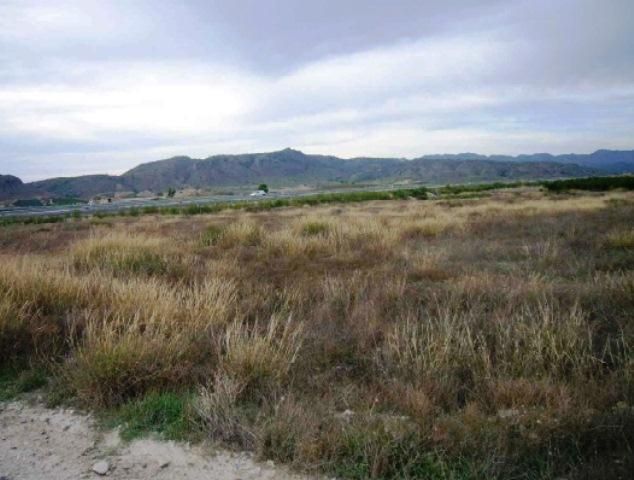 Land for sale in Abarán