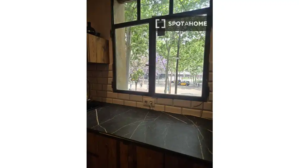 Cuina de Apartament per a compartir en Barcelona amb Aire condicionat, Terrassa i Moblat