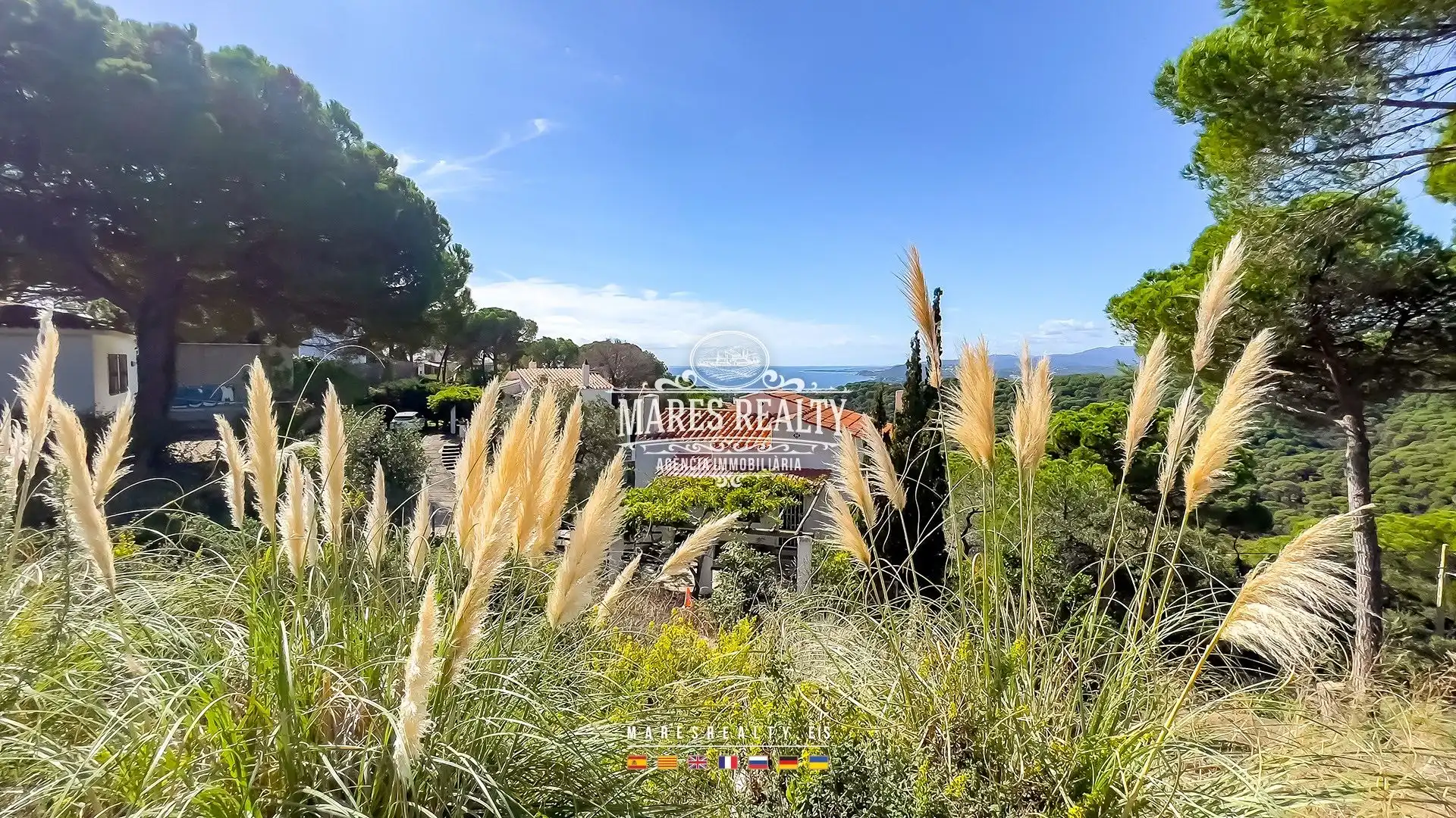 Terrenos y solares en venta en Canyelles, imagen 3
