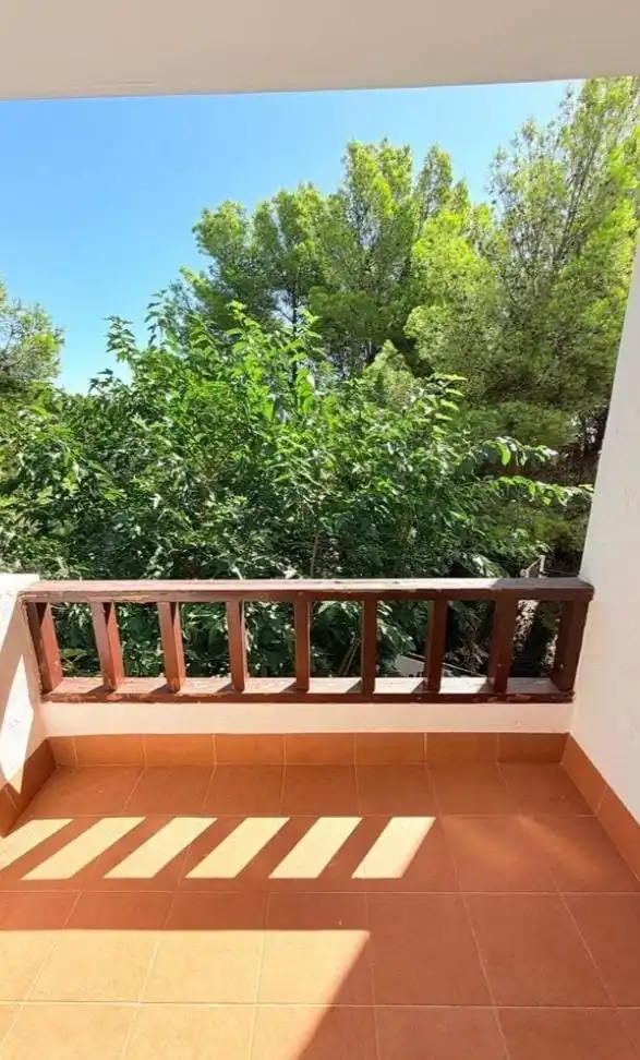 Apartament amb piscina en venda a Passeig de les Oliveres 22B, imagen 6
