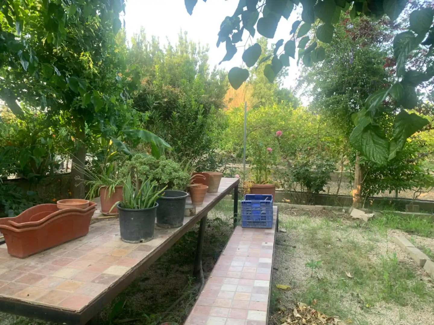 Finca rústica en venda a Alquerías