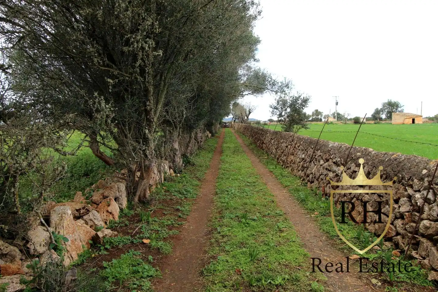 Lands and plots for sale in POLIGONO 49 PARCELA 3, imagen 3