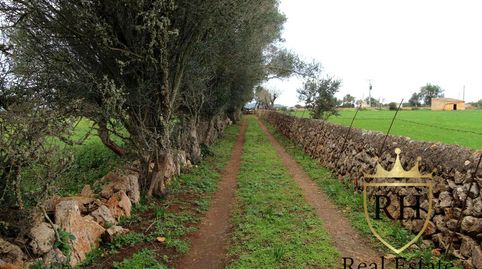 Foto 2 de Residencial en venta en Poligono 49 Parcela 3, Felanitx Poble, Felanitx