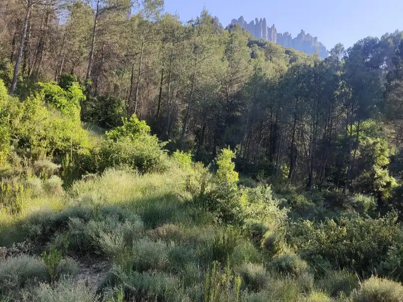 Residencial en venta en Castellbell i el Vilar