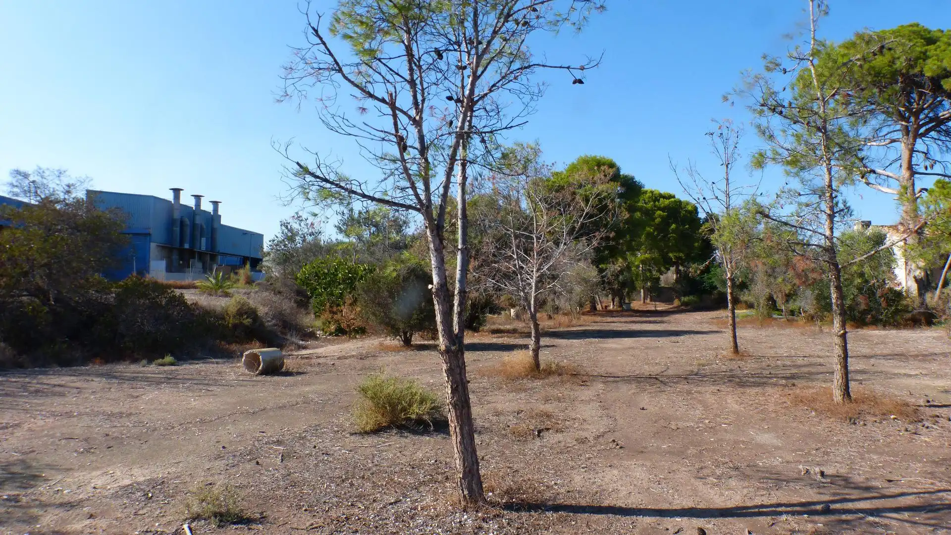 Industrial land for sale in Mutxamel