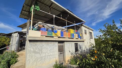 VENTA DE FINCA CON NARANJOS Y LIMONEROS, imatge 4
