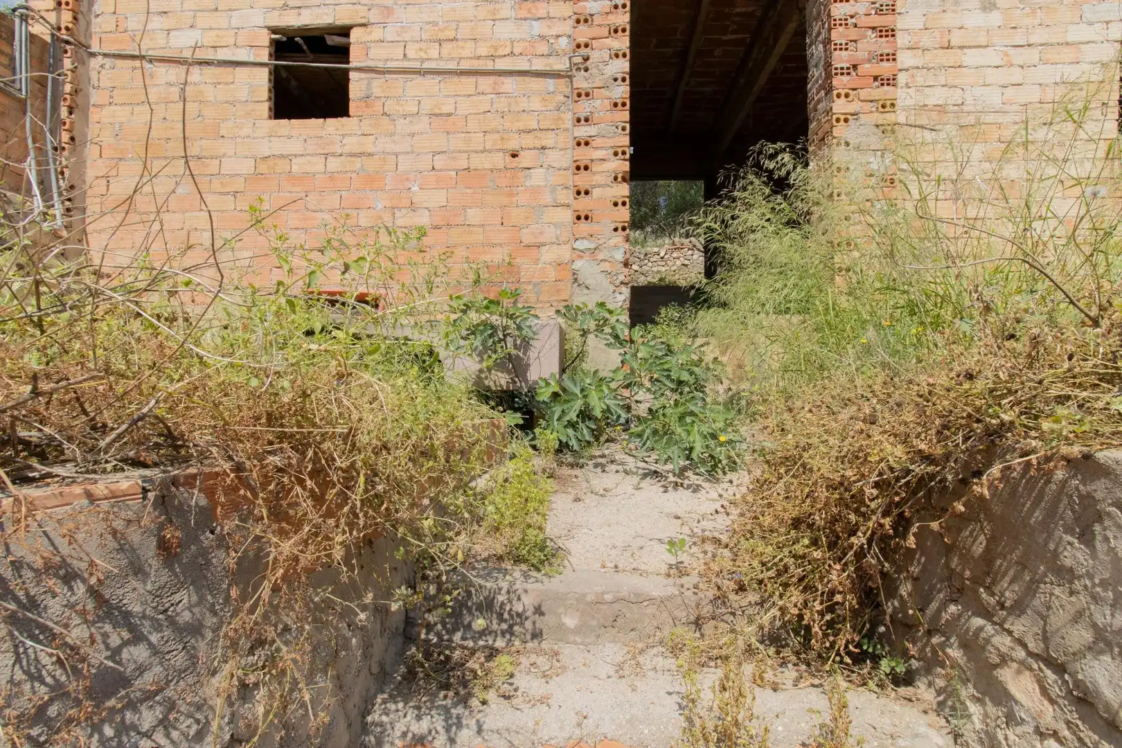 Vista exterior de Finca rústica en venda en Sumacàrcer amb Terrassa