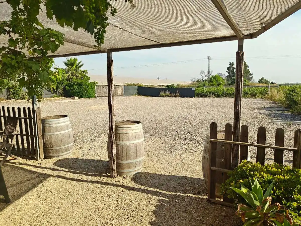 Terrace of Houses for sale in Algemesí  with Private garden, Terrace and Swimming Pool