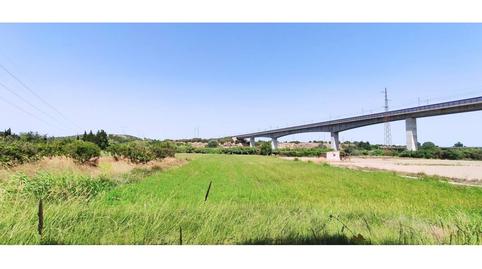 Foto 4 de Finca rústica en venda a Grau - Quintanes, Tarragona