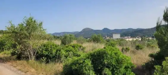Rural land for sale in Pt Paraje Bolavar, imagen 12