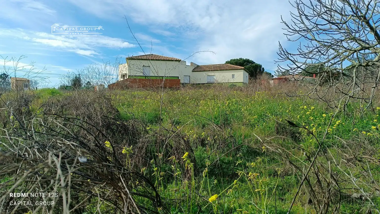 Terrenos y solares en venta en Gibraleón, imagen 3