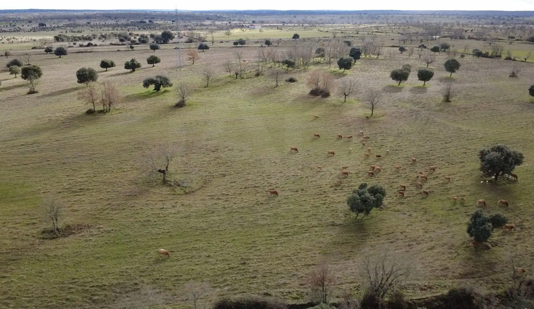 Terreno en venta en El Manzano , Salamanca