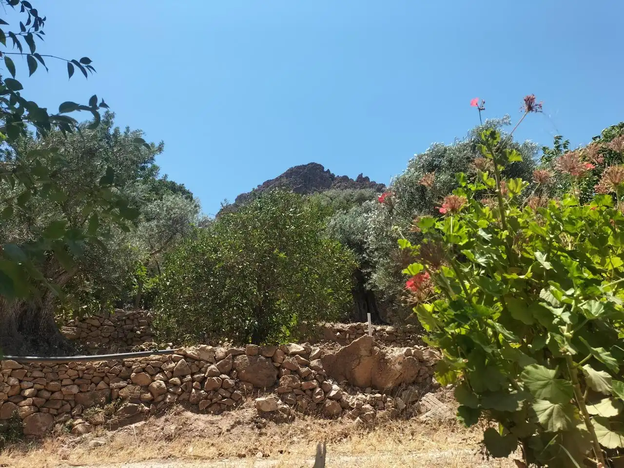 Casa rústica en venda a El Pinar, imagen 31