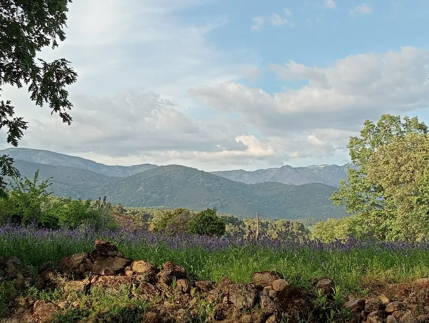 Terreno en venta en Villanueva de la Vera