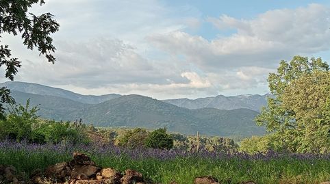 Photo 2 of Land for sale in Ex-203, Villanueva de la Vera, Cáceres