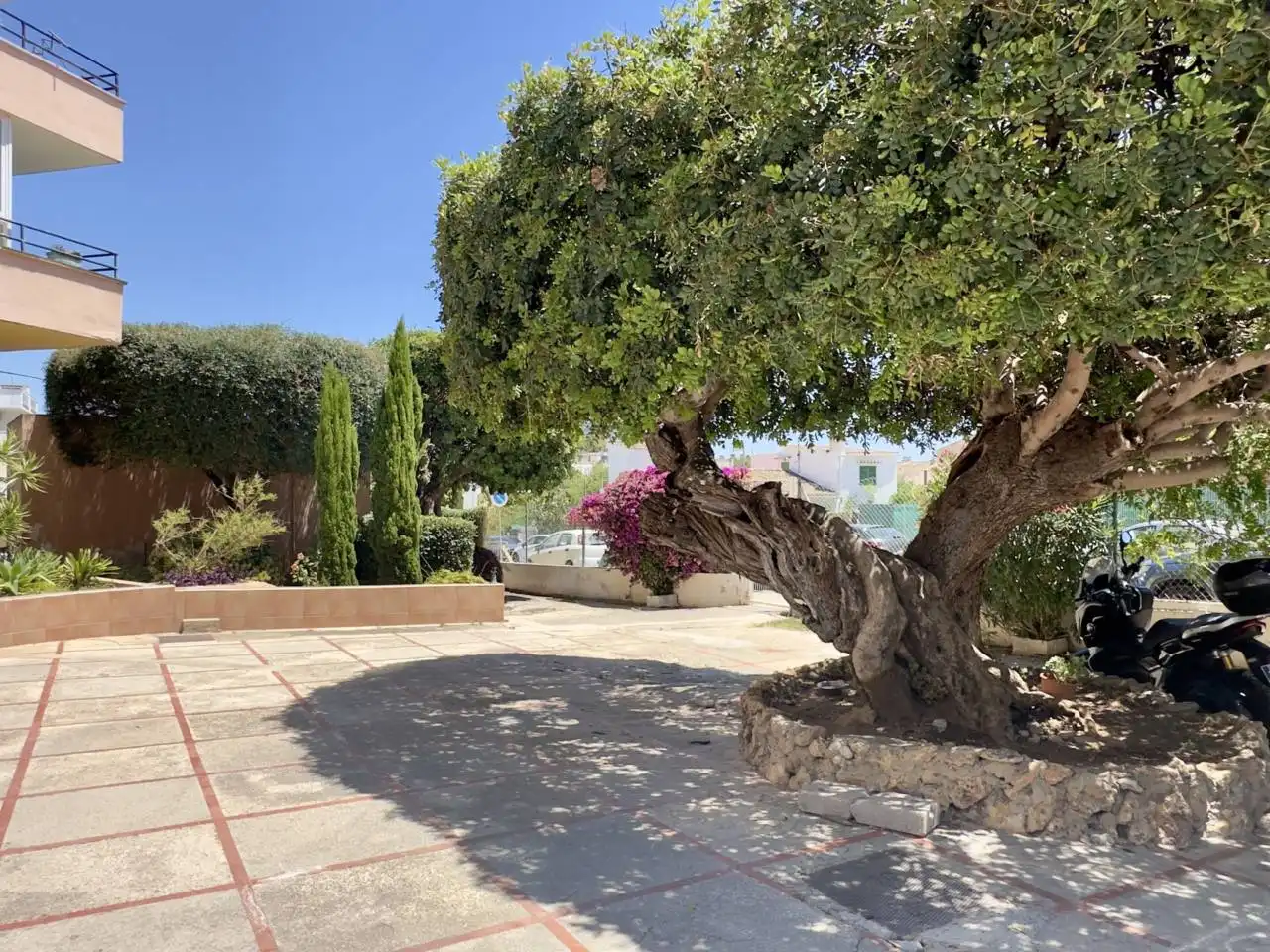 Jardín de Estudio en venta en  Palma de Mallorca con Aire acondicionado, Calefacción y Amueblado