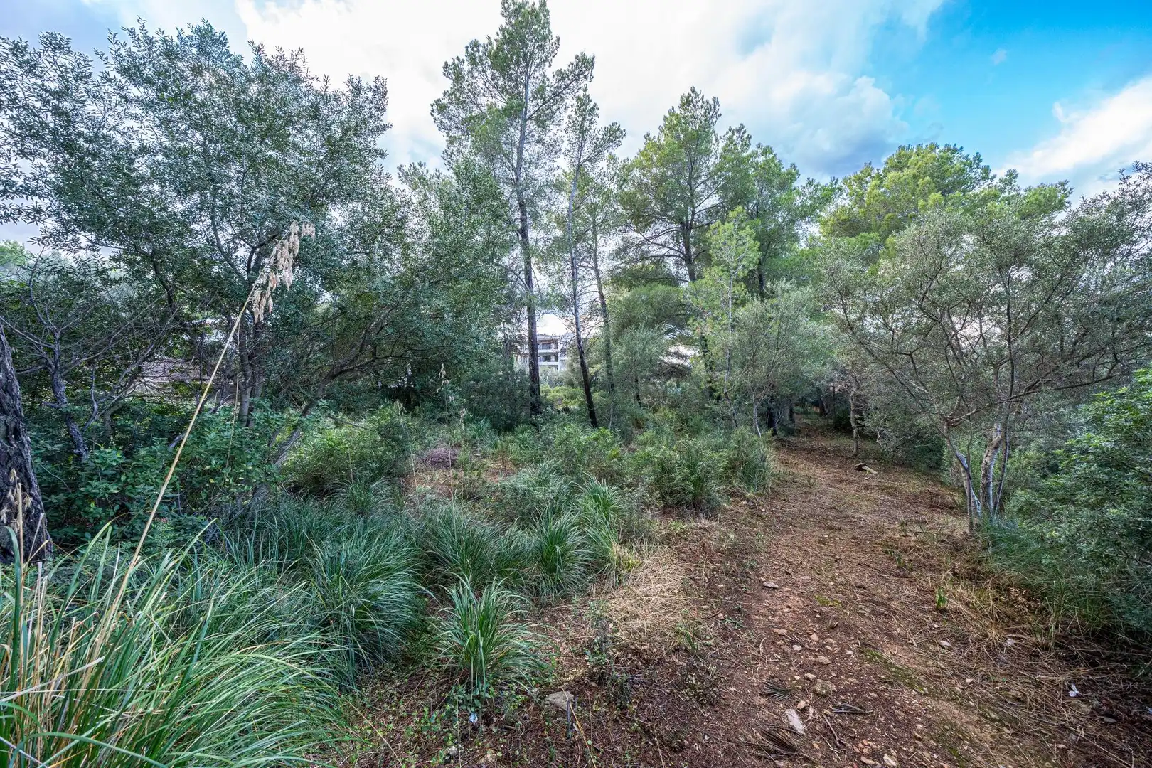 Terreny rústic en venda a Colònia de Sant Pere, imagen 18