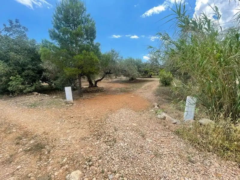 Terreno rustico in vendita a Plaça del Regne d'Espanya 8, imagen 19