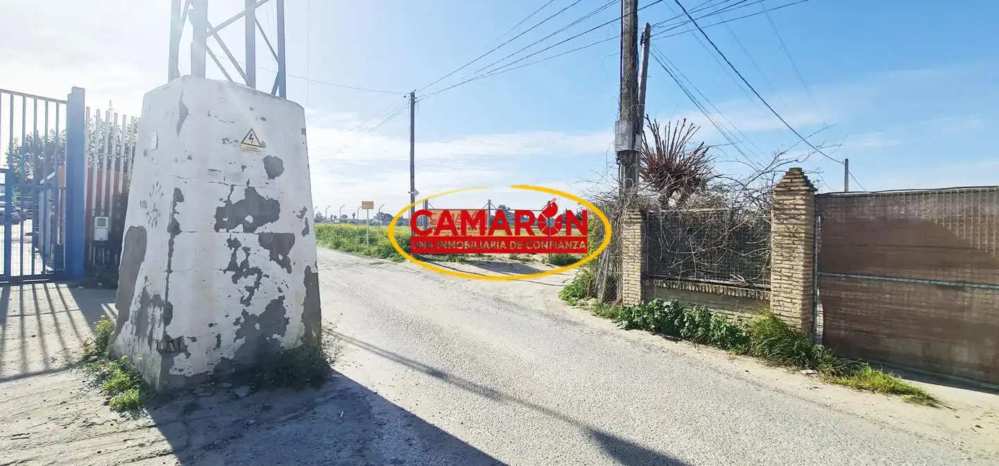 Terrenos y solares en venta en Coria del Río, imagen 3