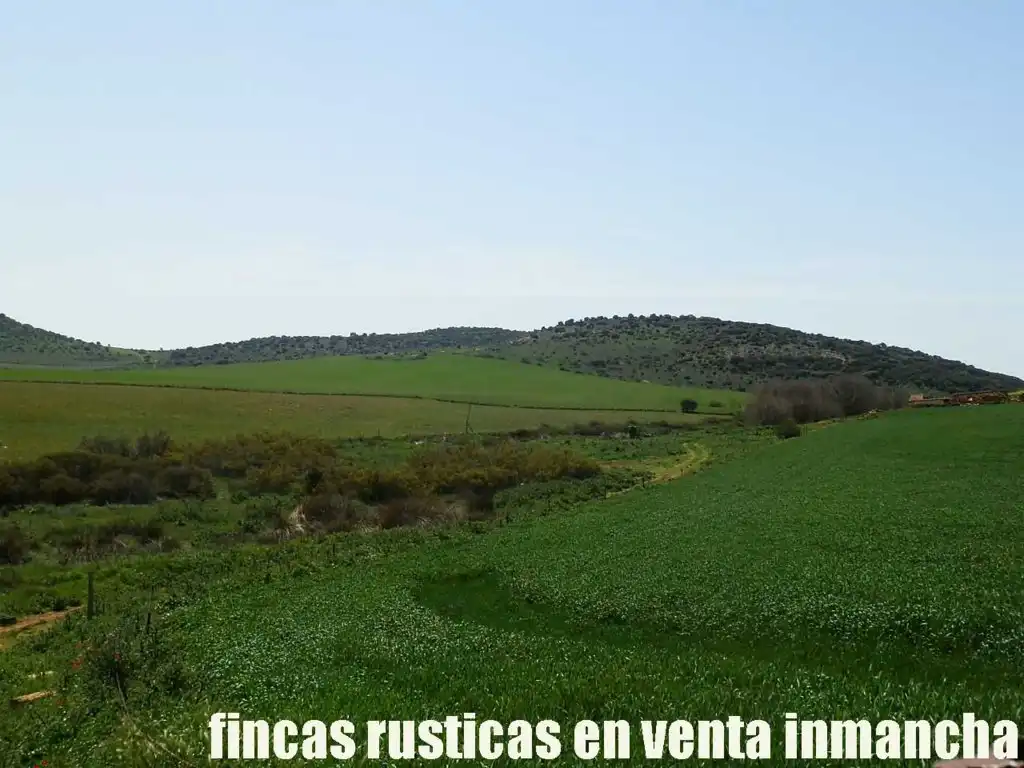 Terreno rustico in vendita a Centro - Plaza Mayor, imagen 13