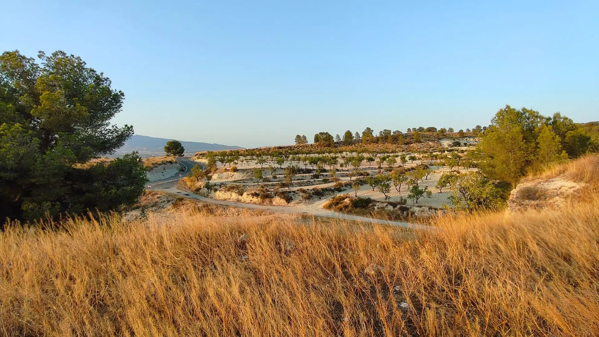 Terreno rustico in vendita a Jumilla, imagen 8