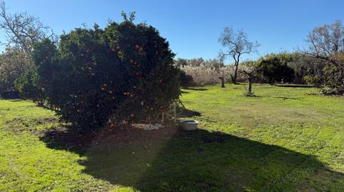 Photo 2 of Country house for sale in Camino de Valverde, 1, Gibraleón, Huelva