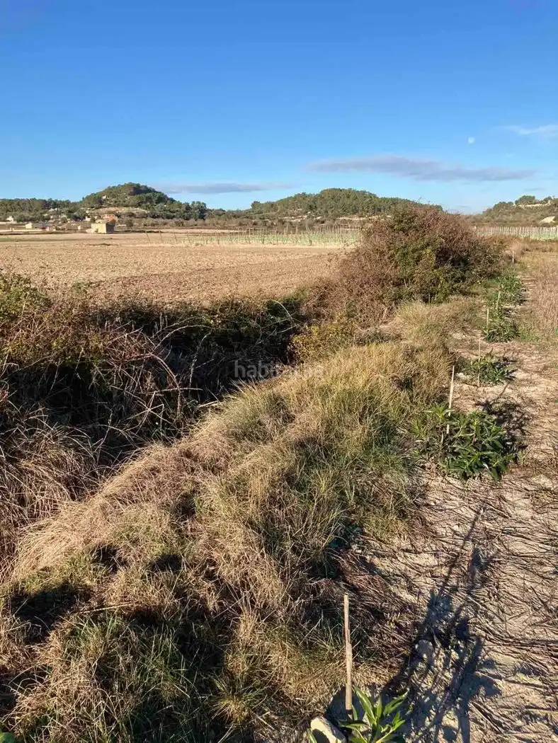 Terrain rustique à vendre à Ma-3222 1219, imagen 6
