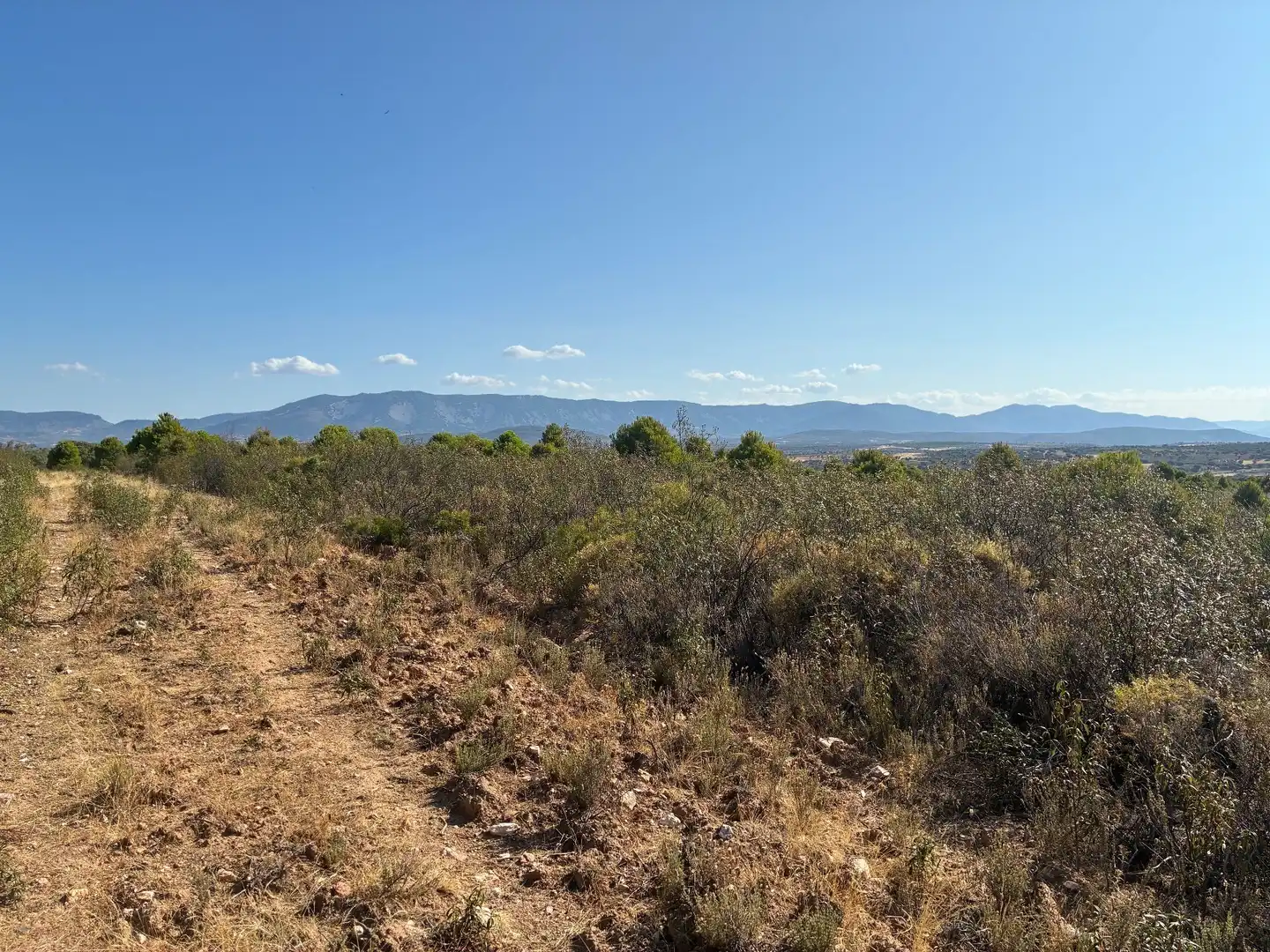 Rural land for sale in Puerto de San Vicente, imagen 4