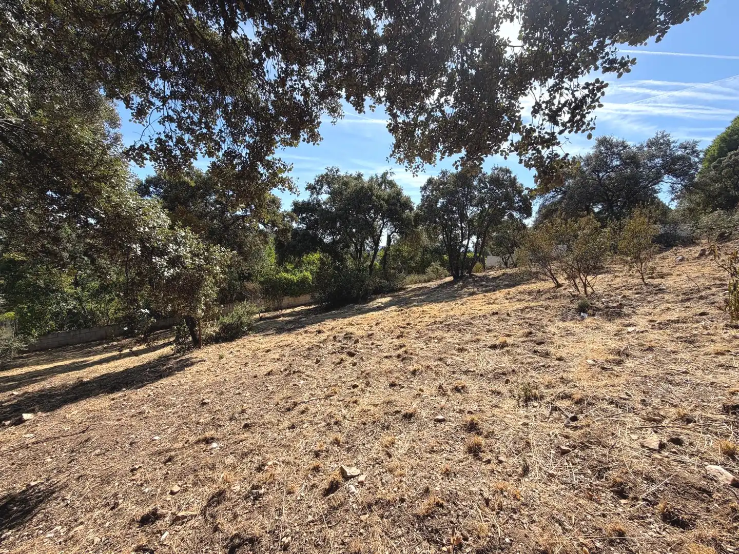 Residential land for sale in Villa del Prado, imagen 7