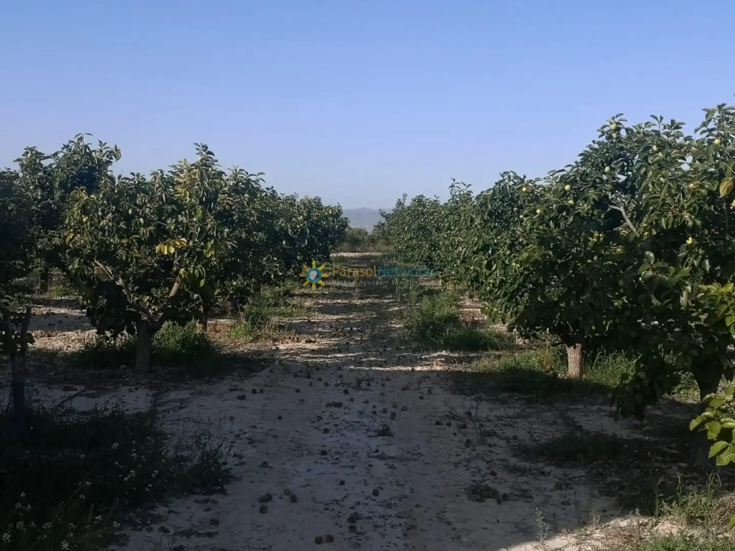 Finca rústica en venta en Albaida con Jardín privado y Trastero