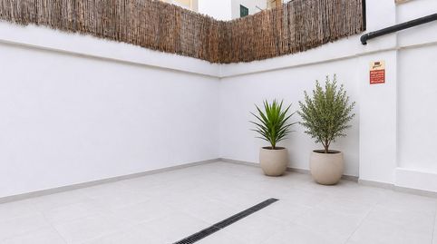 Foto 2 de Planta baja en venta en Calle Cima, Camp d'en Serralta, Palma de Mallorca