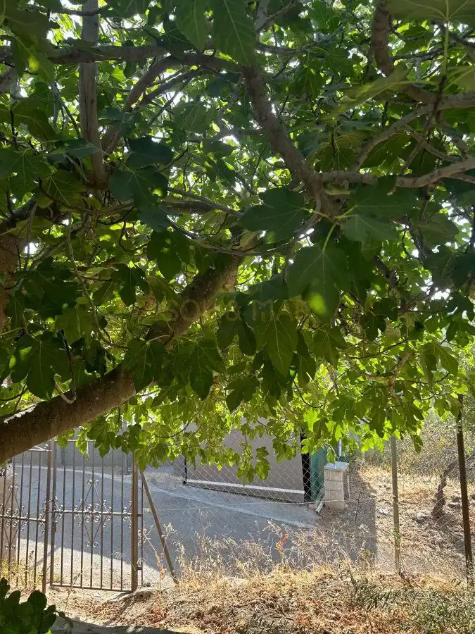Jardí de Casa o xalet en venda en Álora amb Calefacció, Terrassa i Traster