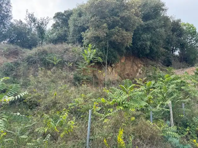 Wohnbaugrundstück zum Verkauf in Carrer Joan Portabella 1c, imagen 20