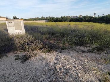 Terreni e lotti in vendita a Los Franceses – La Vega