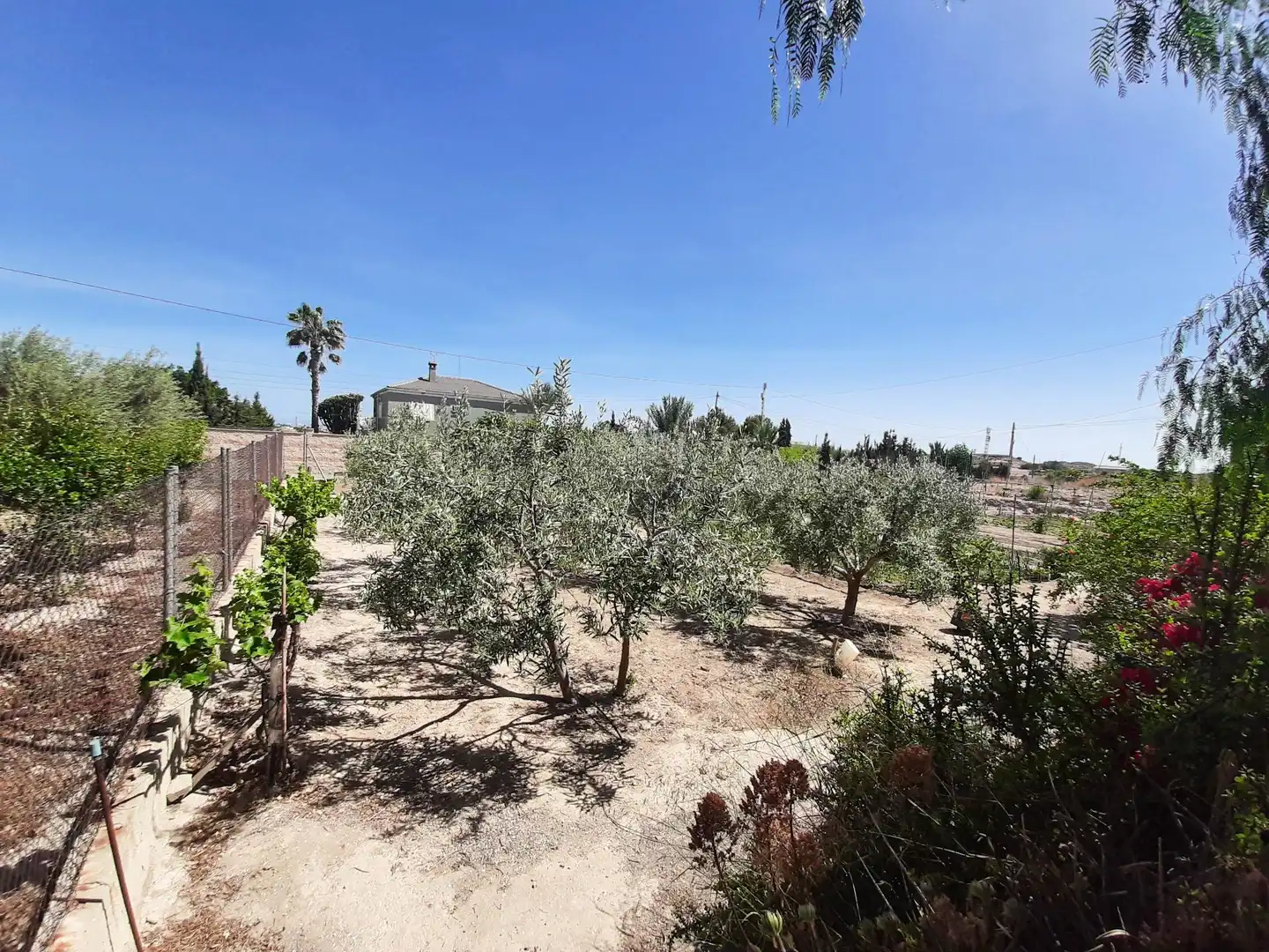 Casa rustica con giardino in vendita a Jubalcoi, imagen 35