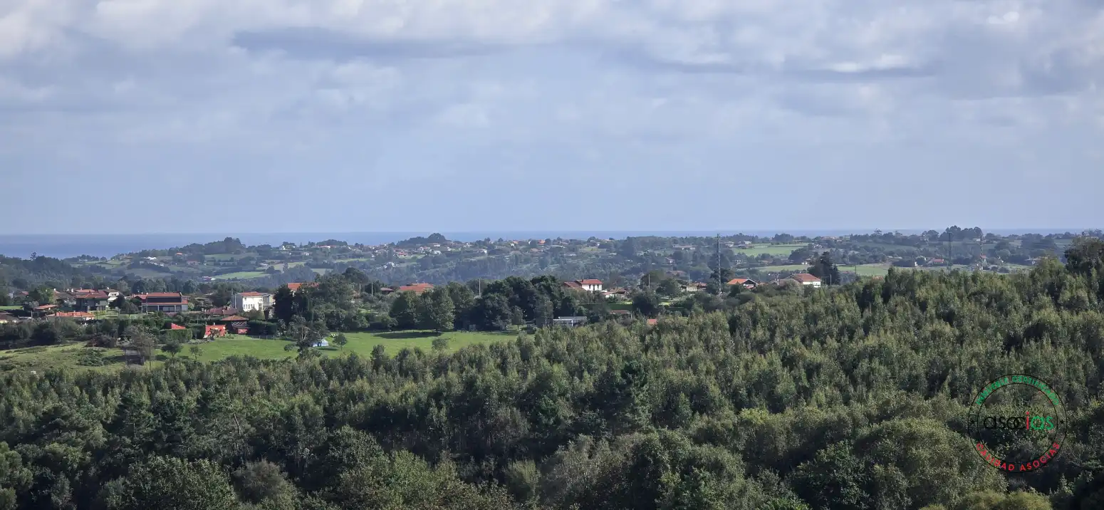Terreny residencial en venda a Peón - Coto de la Castañera, Curviellu S/N, imagen 24