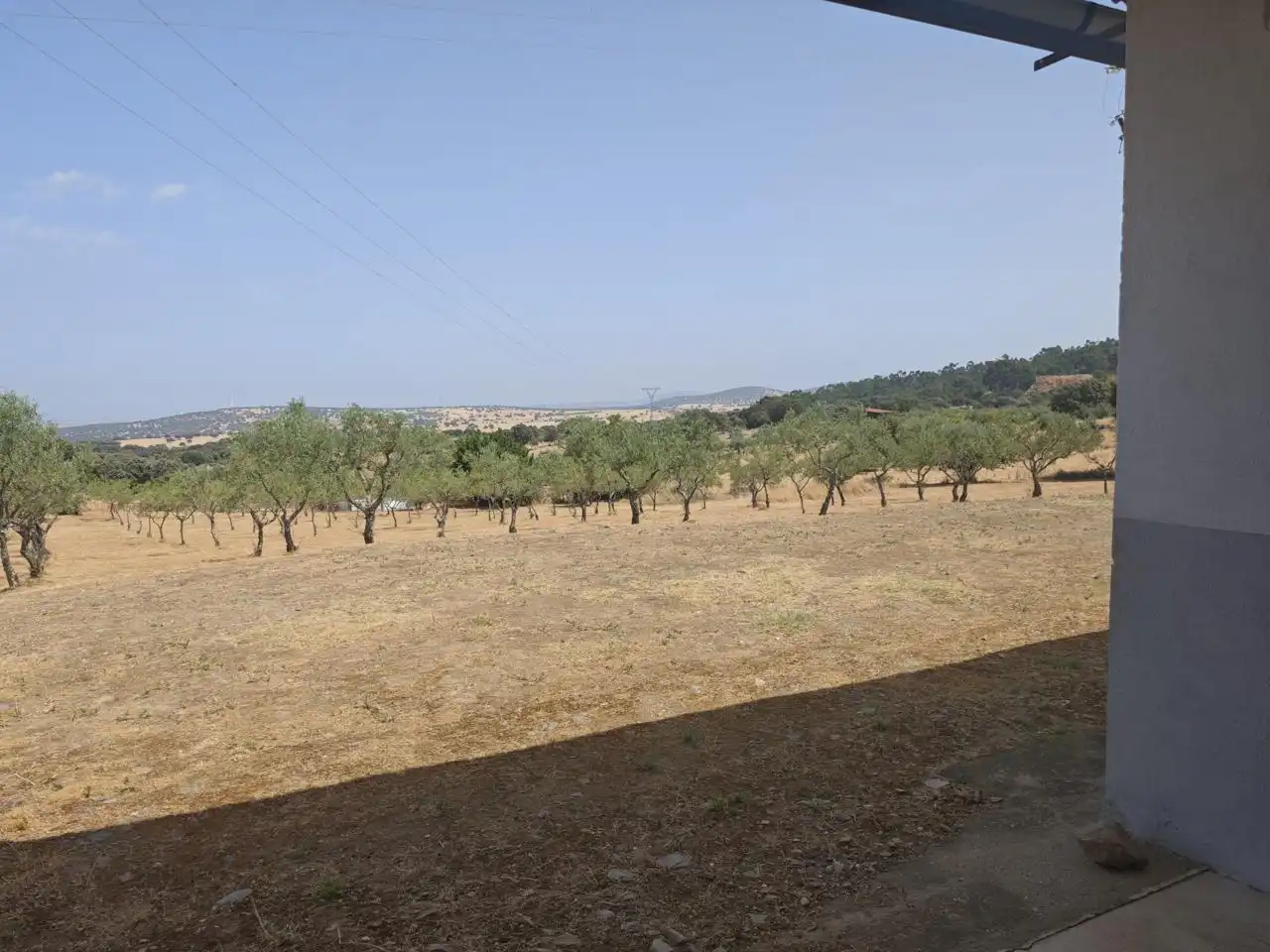 Fabrikhallen zum Verkauf in Serradilla
