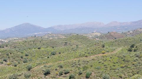 Photo 5 of Country house for sale in Canillas de Aceituno, Málaga