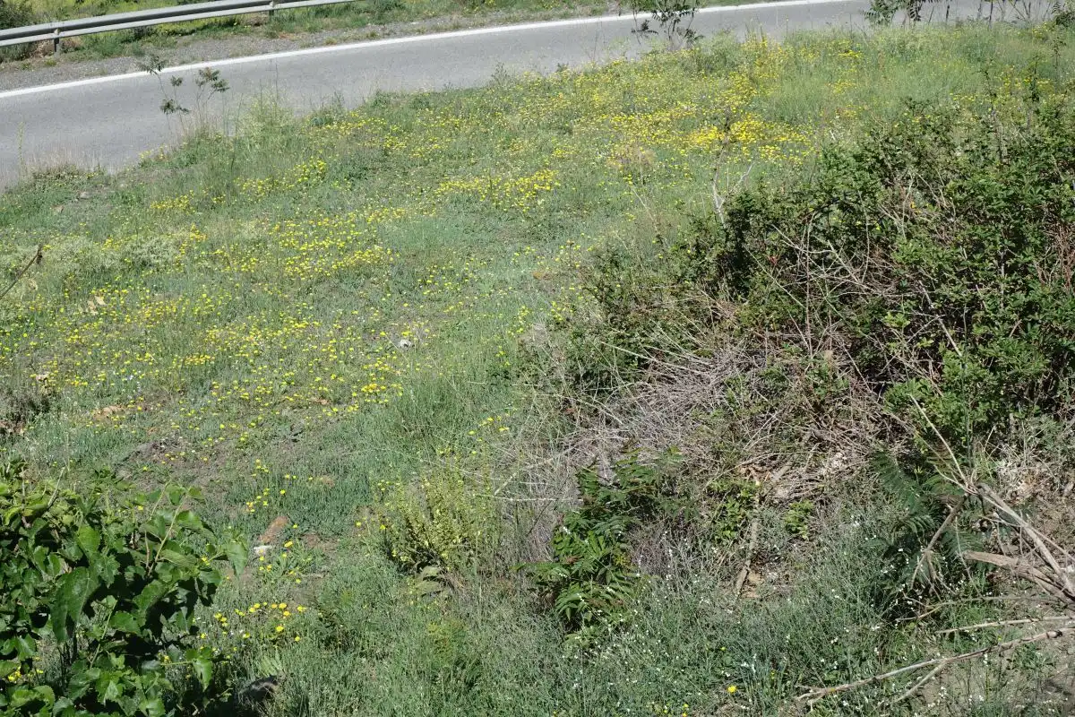 Finca rústica en venta en Capileira