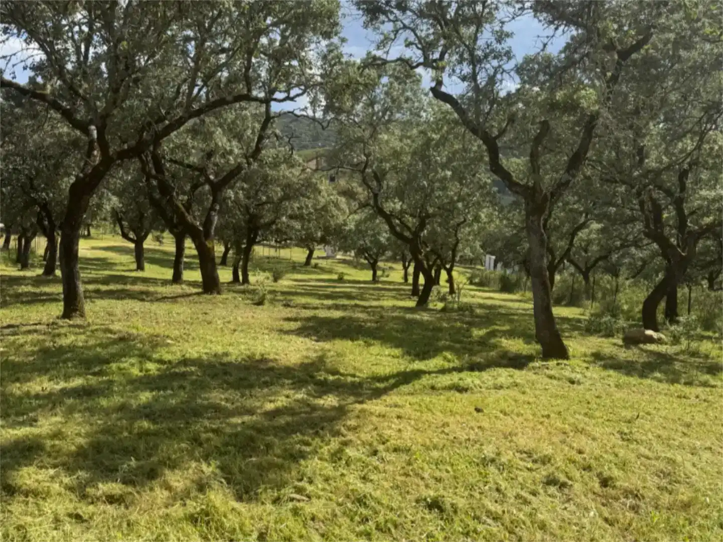 Finca rústica en venta en El Madroño con Aire acondicionado, Jardín privado y Parquet