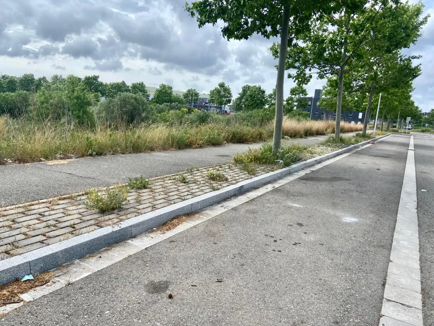 Terreno industrial en venta en Llevant, imagen 6