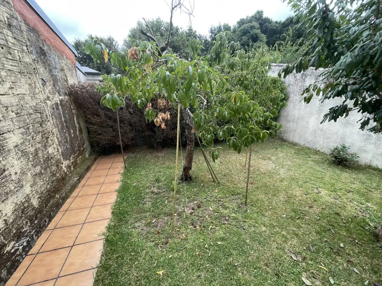 Maison avec jardin à vendre à Camino Cerdeira, imagen 20
