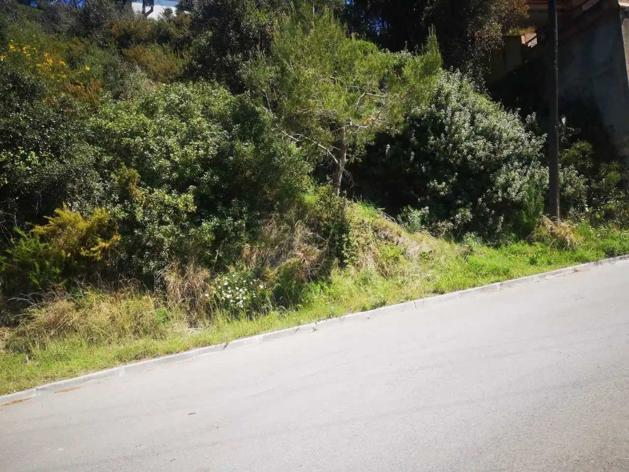 Rural land for sale in Palafolls, imagen 5
