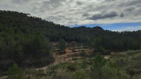 Oportunidad para iniciativas de NATURALEZA, OCIO Y TURISMO SOSTENIBLE, immagine 4